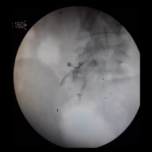 Untitled design (10)